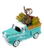 55 Chevy Truck Load of Succulents
