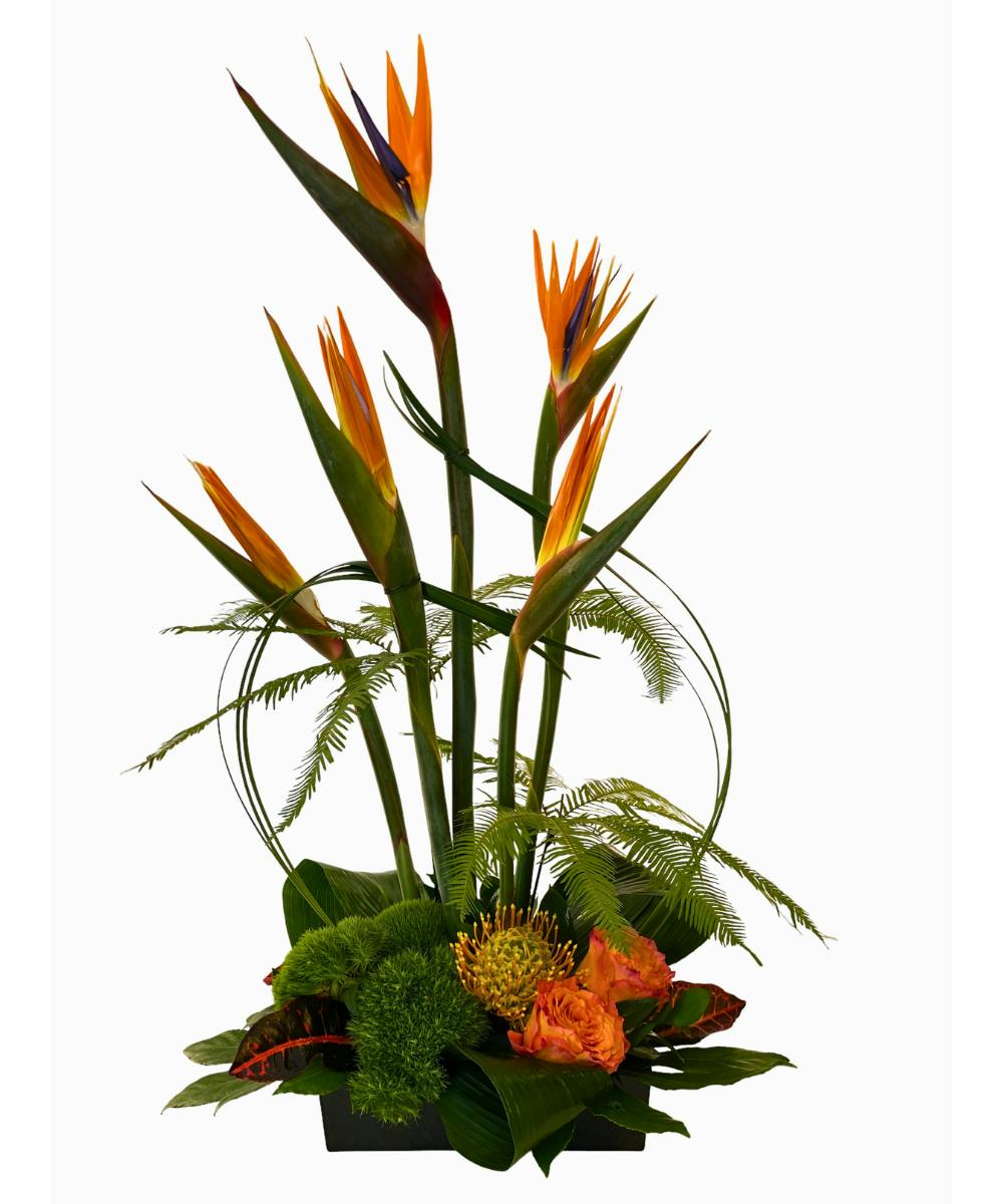 Sanctuary Tropical Flower Arrangement Rose Hill Florist Nashville